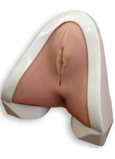 Perineal Repair Trainer - Simulab